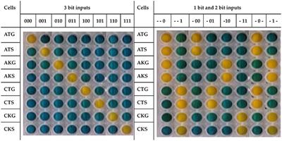 ParAlleL: A Novel Population-Based Approach to Biological Logic Gates